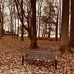 30 Park Nad Jeziorem * Nový Štětín