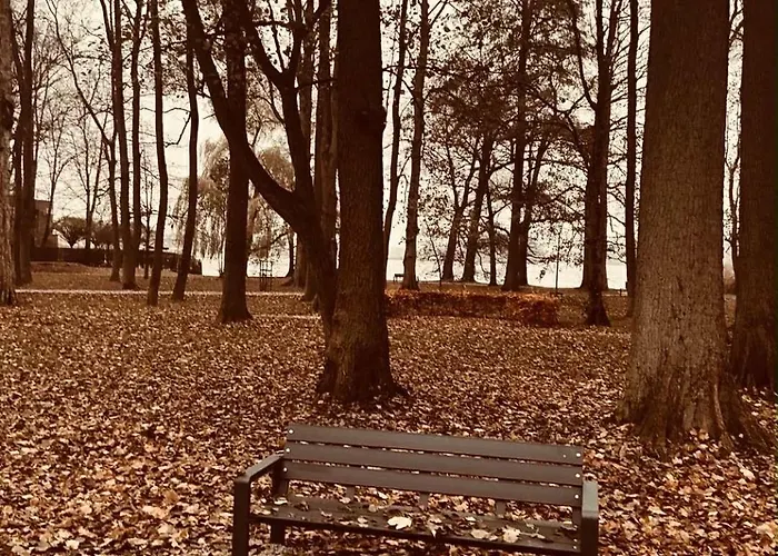 30 Park Nad Jeziorem * Szczecinek